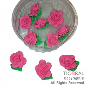 ROSAS GRANDES C/HOJA FUCSIA x 10